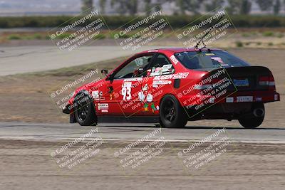 media/Oct-04-2025-OnGrid (Sat) [[44bd565ffa]]/Pink Group/Grapevine/